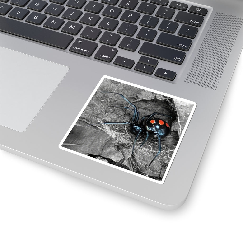 Black Widow Spider Kiss-Cut Stickers | Red Spots, Realistic Arachnid