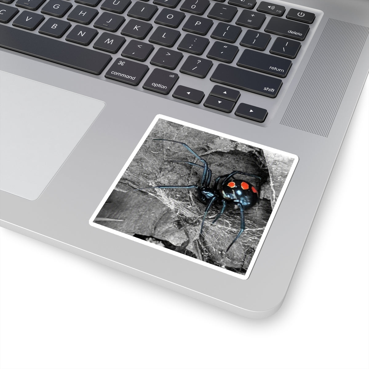 Black Widow Spider Kiss-Cut Stickers | Red Spots, Realistic Arachnid