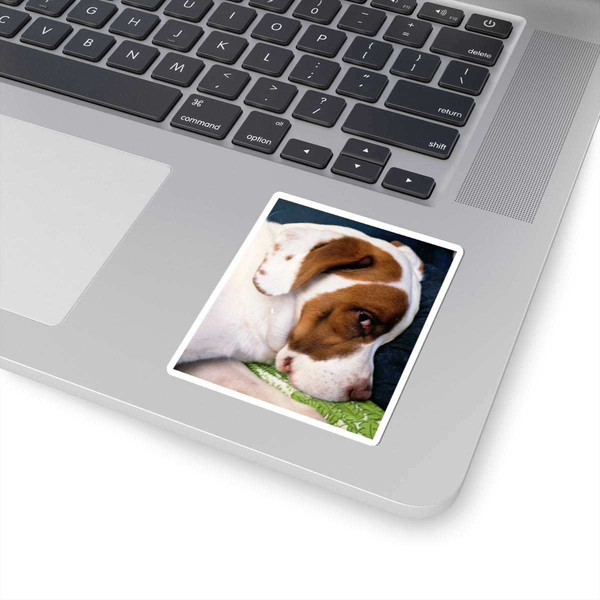 Sleepy Brown and White Dog Sticker | Kiss-Cut Sticker