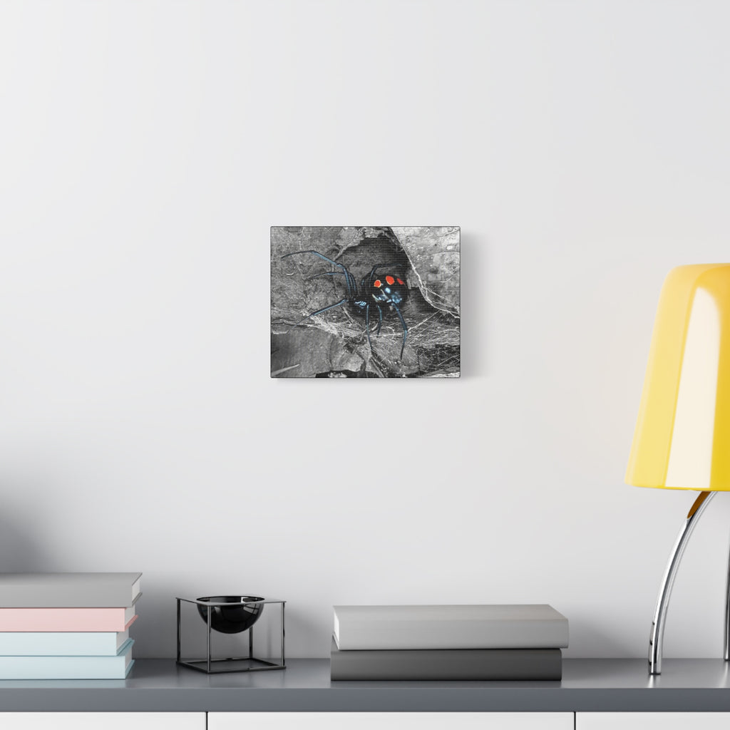 Black Widow Spider Matte Canvas | Stretched Wall Art