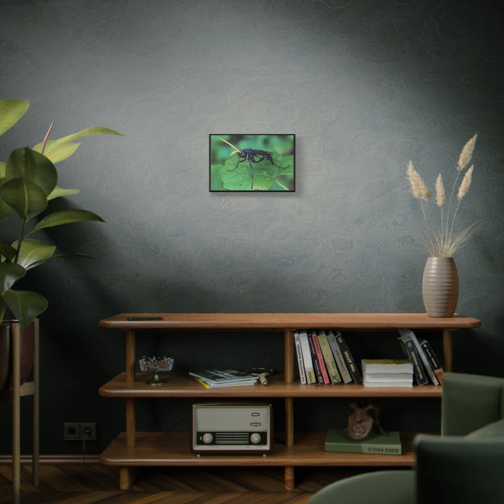 Ichneumon Wasp Photo Canvas