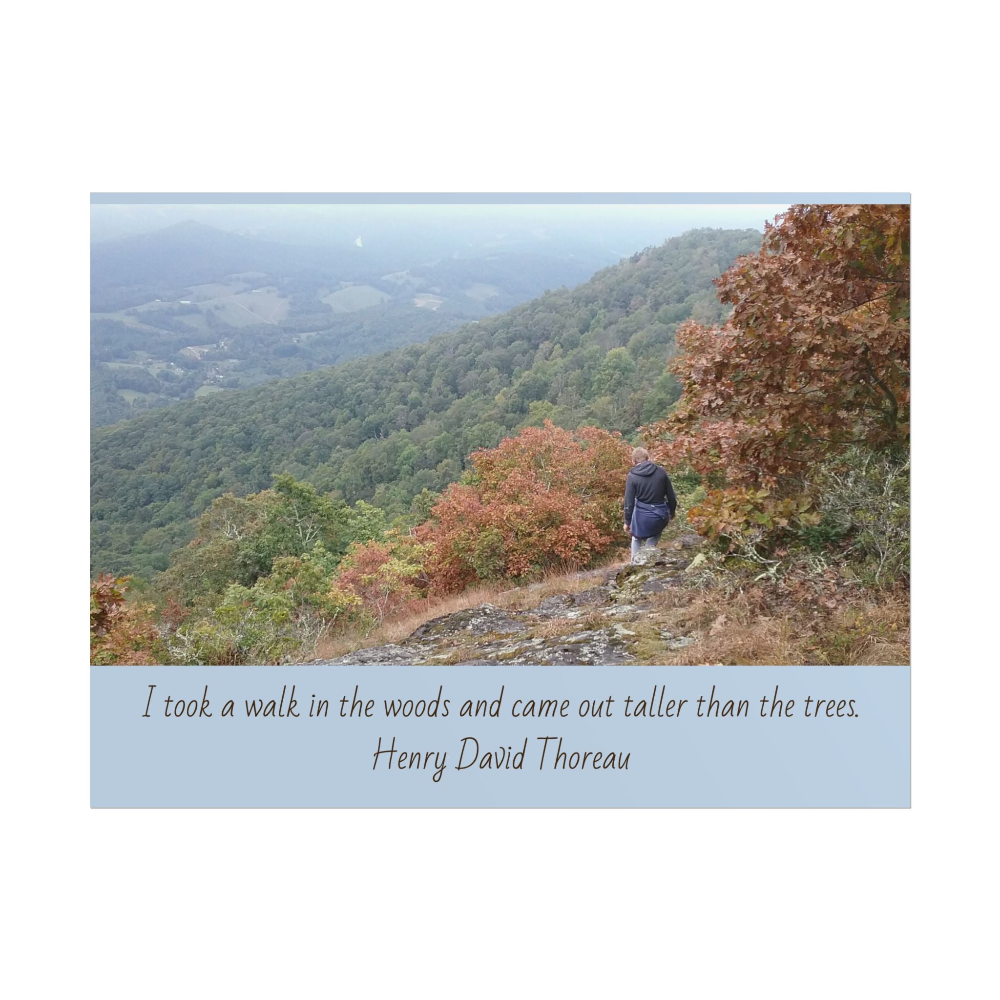 Rolled Poster - Scenic Hiking Photo with Thoreau Quote: "I took a walk in the woods..."
