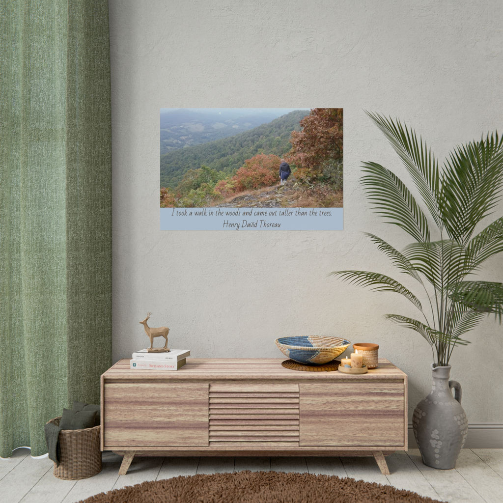 Rolled Poster - Scenic Hiking Photo with Thoreau Quote: "I took a walk in the woods..."