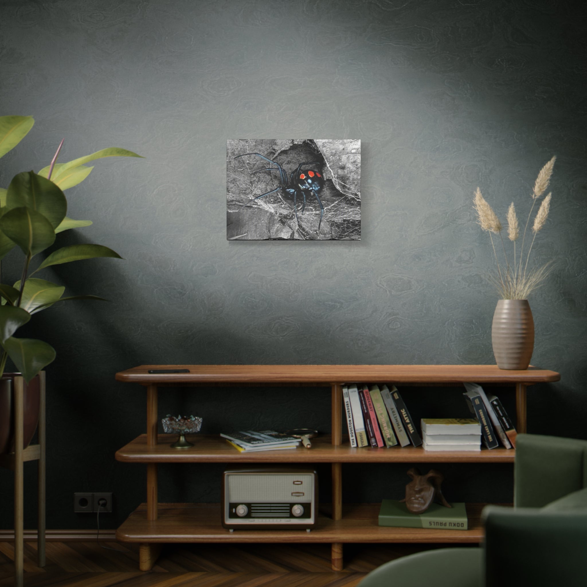 Black Widow Spider Matte Canvas | Stretched Wall Art