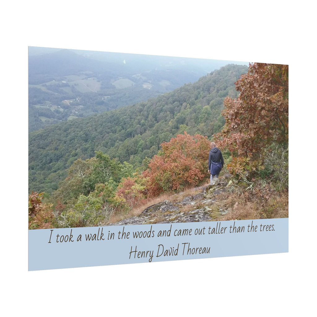 Rolled Poster - Scenic Hiking Photo with Thoreau Quote: "I took a walk in the woods..."