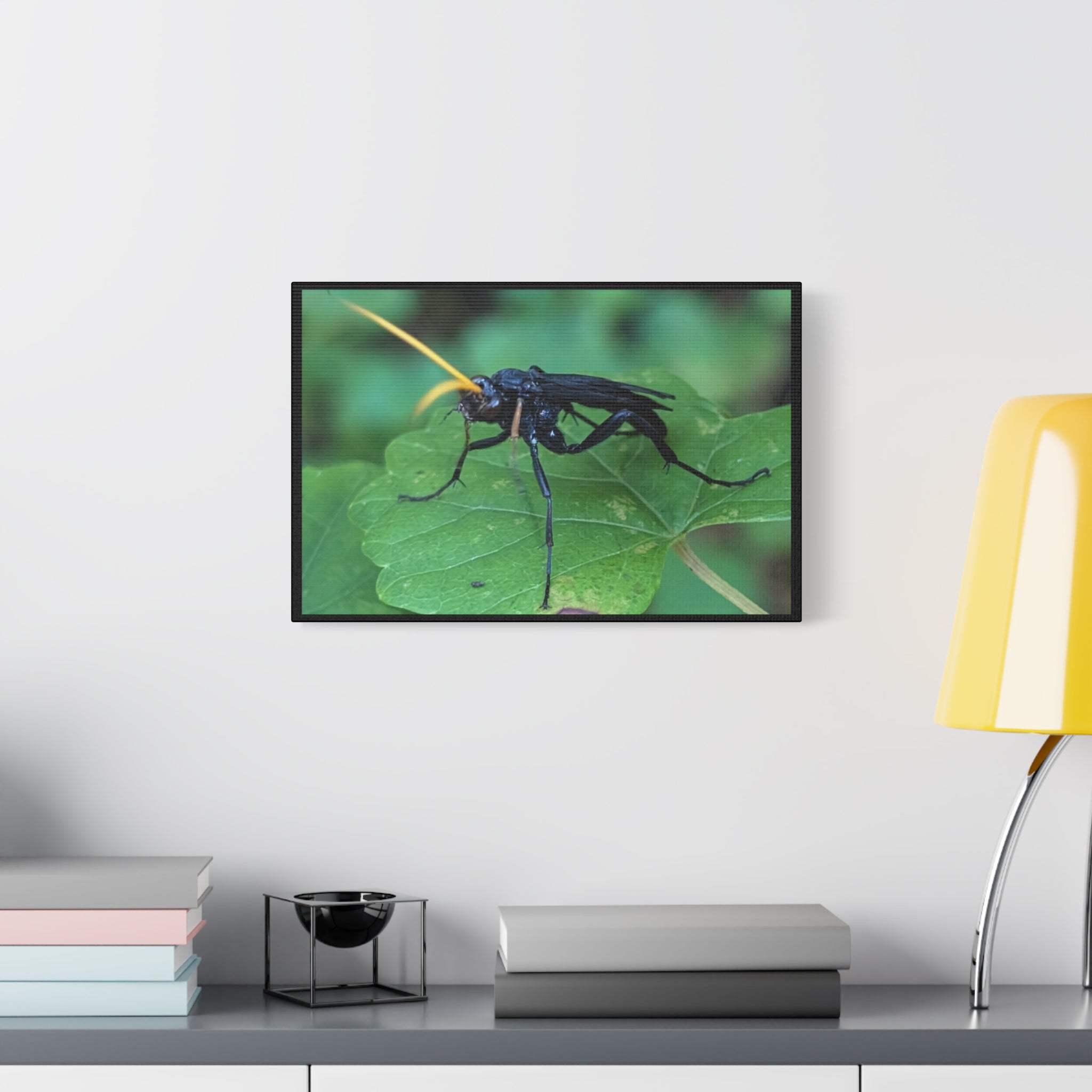 Ichneumon Wasp Photo Canvas