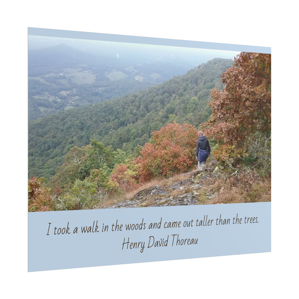 Rolled Poster - Scenic Hiking Photo with Thoreau Quote: "I took a walk in the woods..."