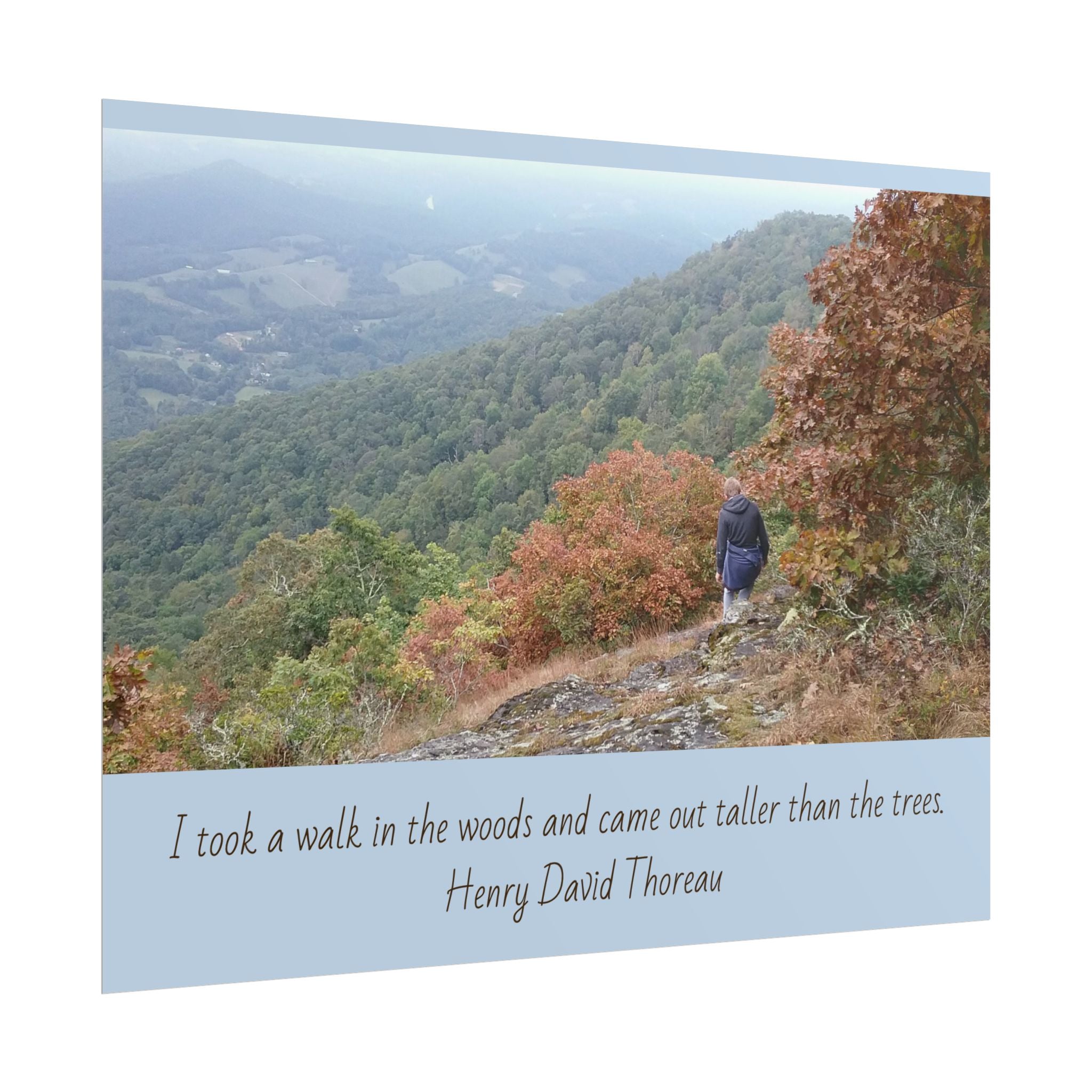 Rolled Poster - Scenic Hiking Photo with Thoreau Quote: "I took a walk in the woods..."