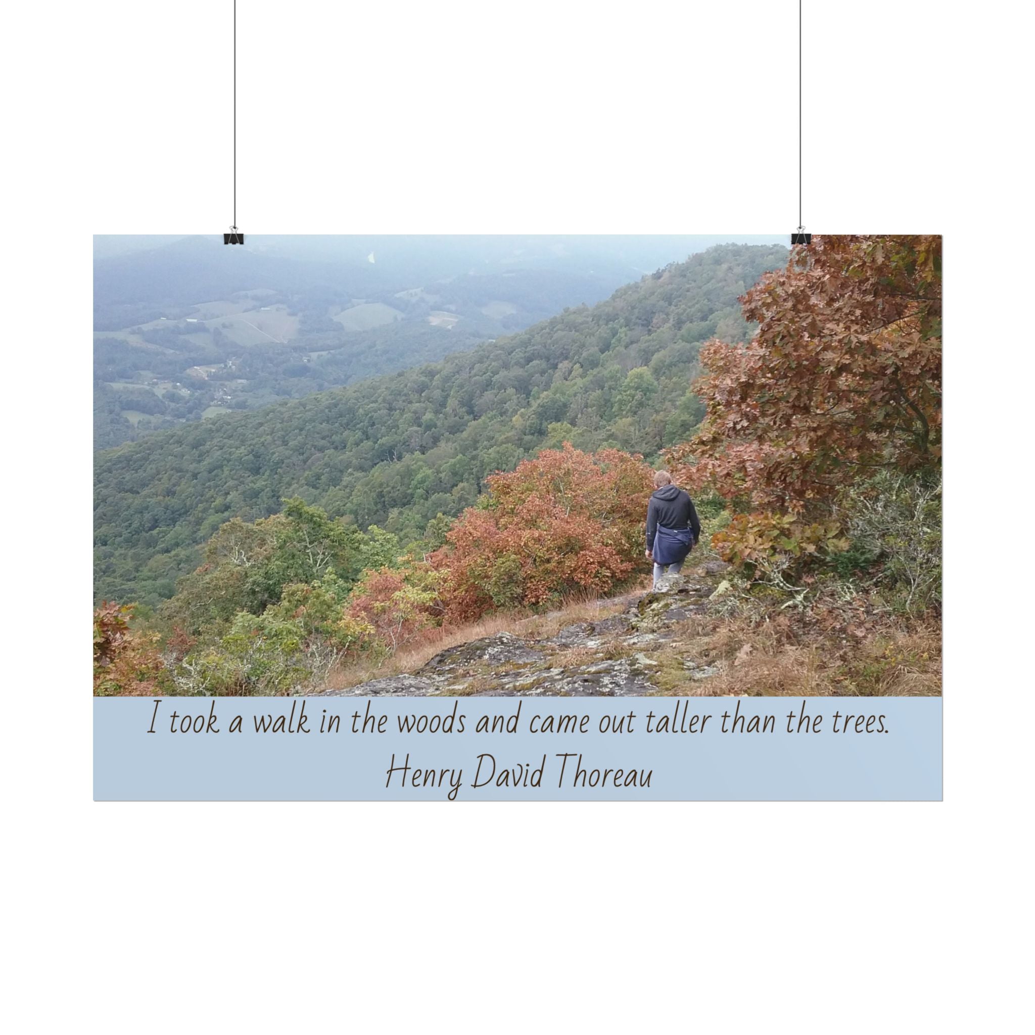 Rolled Poster - Scenic Hiking Photo with Thoreau Quote: "I took a walk in the woods..."