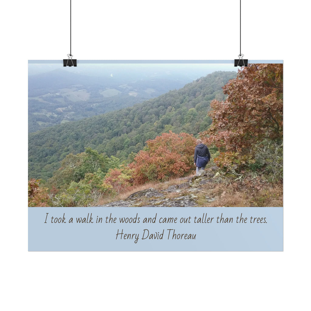 Rolled Poster - Scenic Hiking Photo with Thoreau Quote: "I took a walk in the woods..."