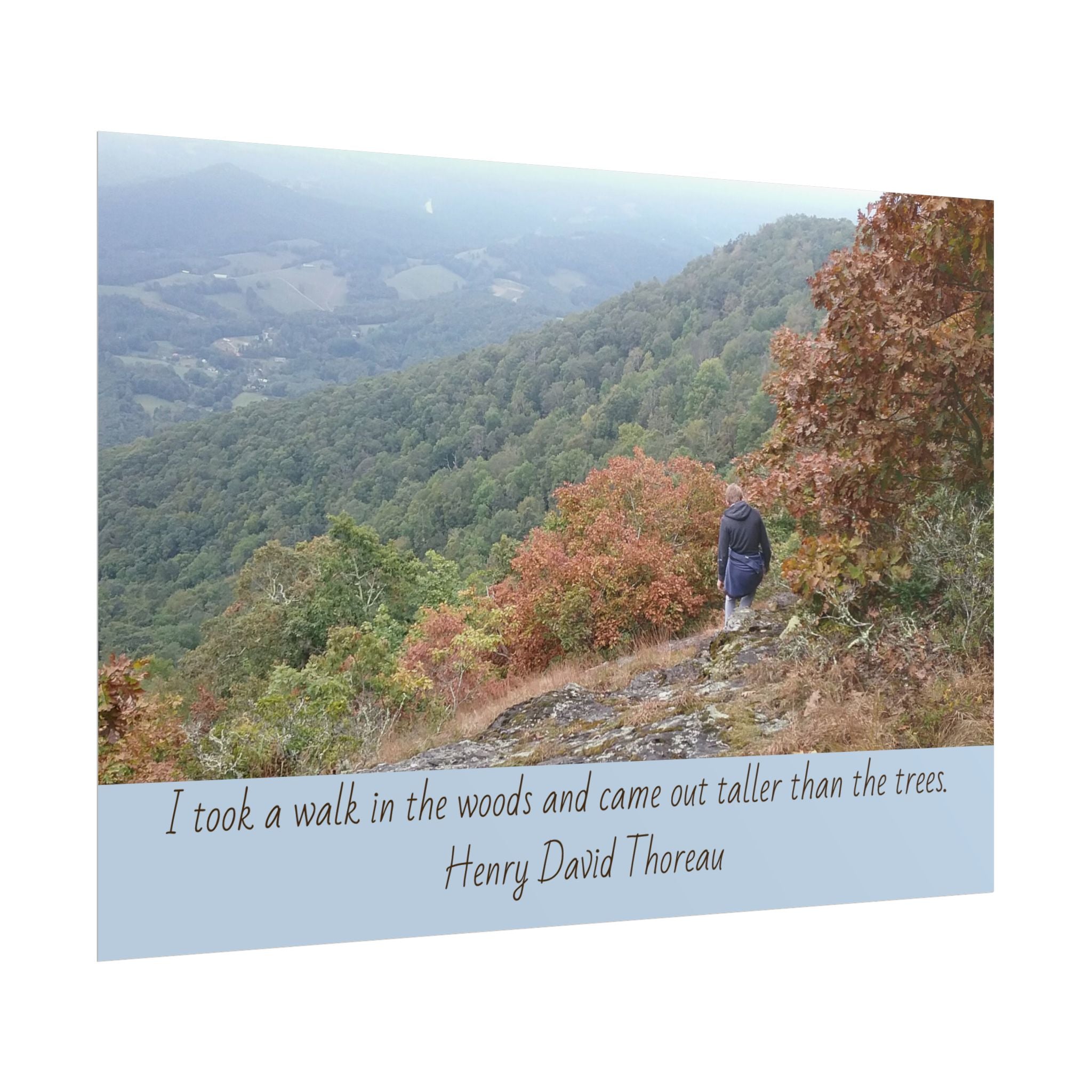 Rolled Poster - Scenic Hiking Photo with Thoreau Quote: "I took a walk in the woods..."