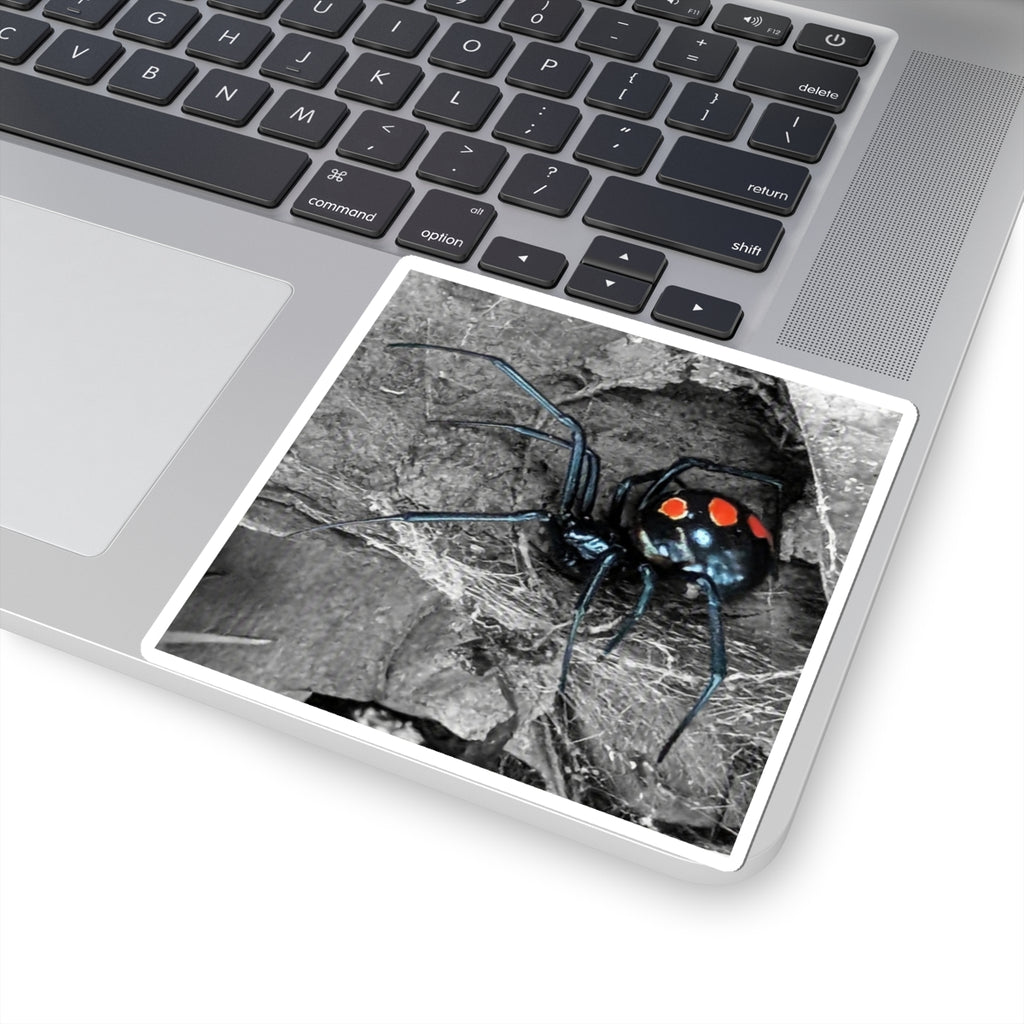 Black Widow Spider Kiss-Cut Stickers | Red Spots, Realistic Arachnid