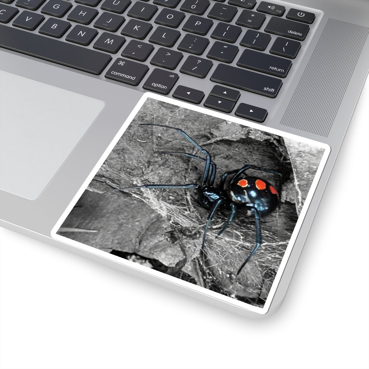 Black Widow Spider Kiss-Cut Stickers | Red Spots, Realistic Arachnid