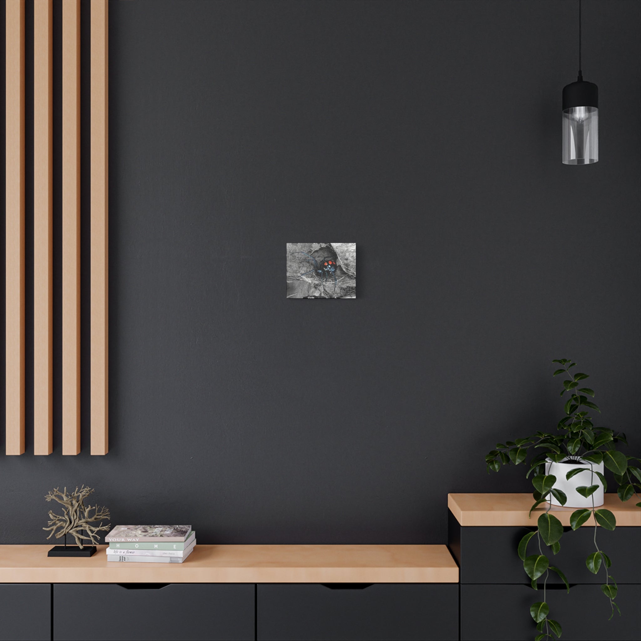 Black Widow Spider Matte Canvas | Stretched Wall Art