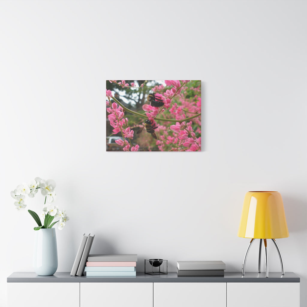 Bumblebees on Pink Flowers Canvas