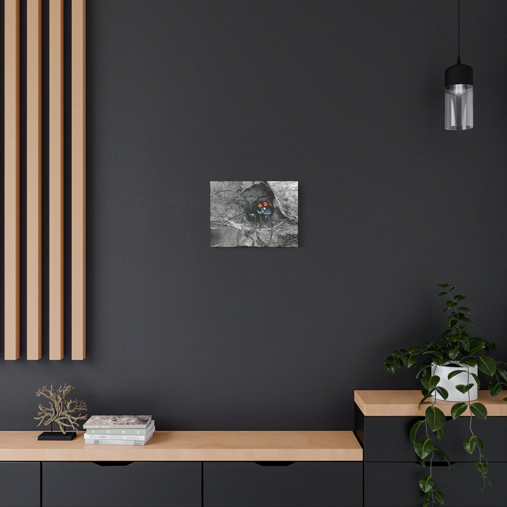 Black Widow Spider Matte Canvas | Stretched Wall Art
