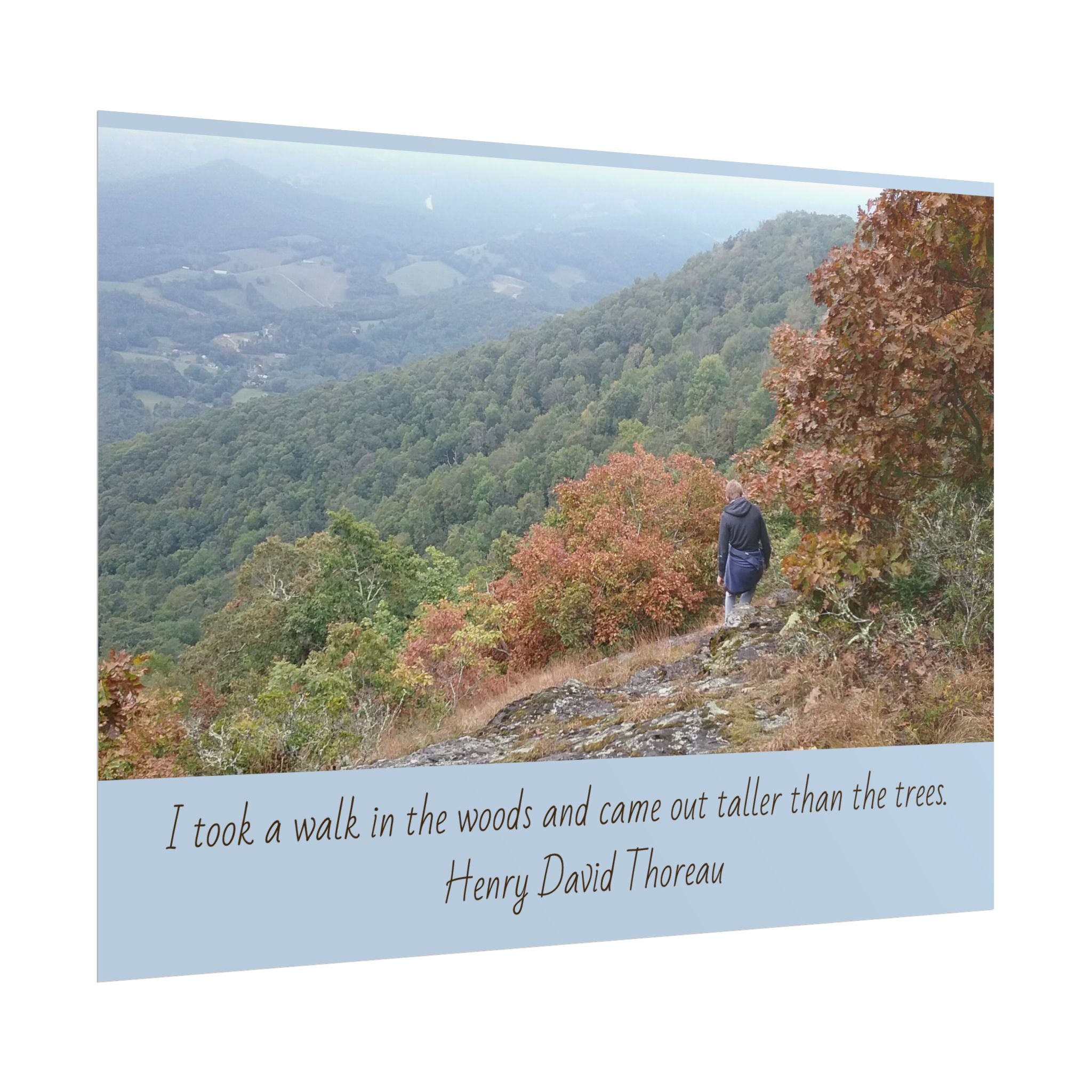 Rolled Poster - Scenic Hiking Photo with Thoreau Quote: "I took a walk in the woods..."