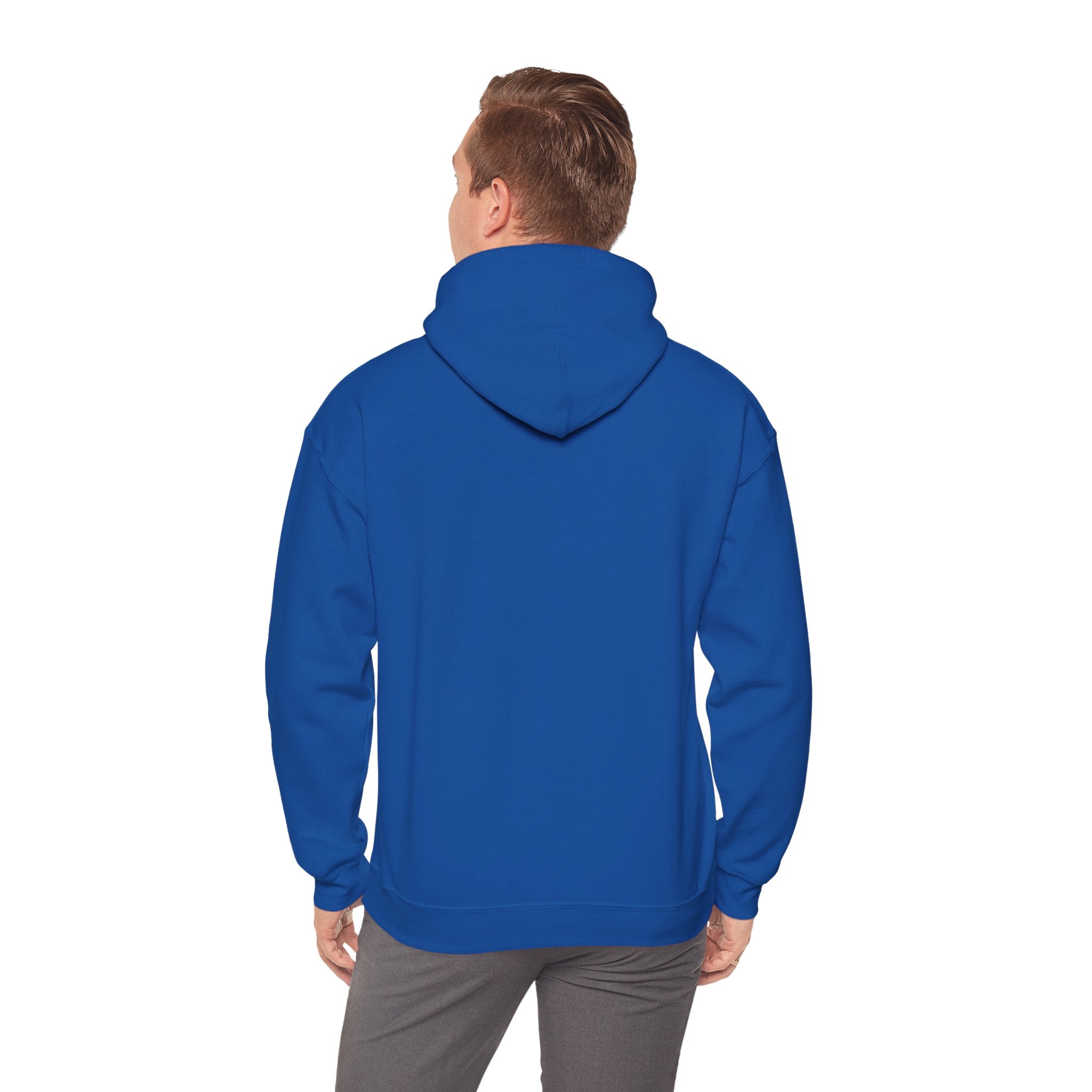 Abstract Fox Stained Glass Hoodie | Colorful Fox with Korean Script