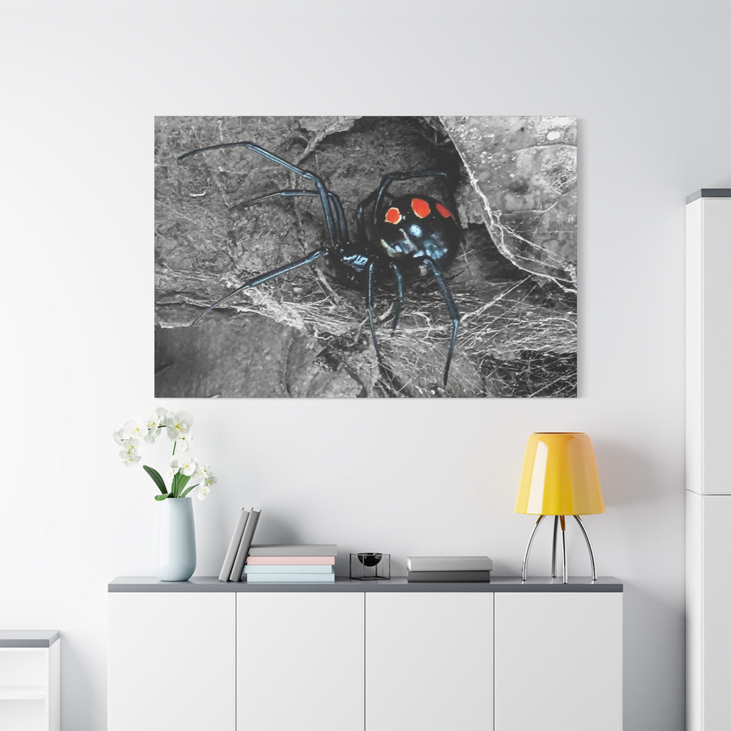 Black Widow Spider Matte Canvas | Stretched Wall Art
