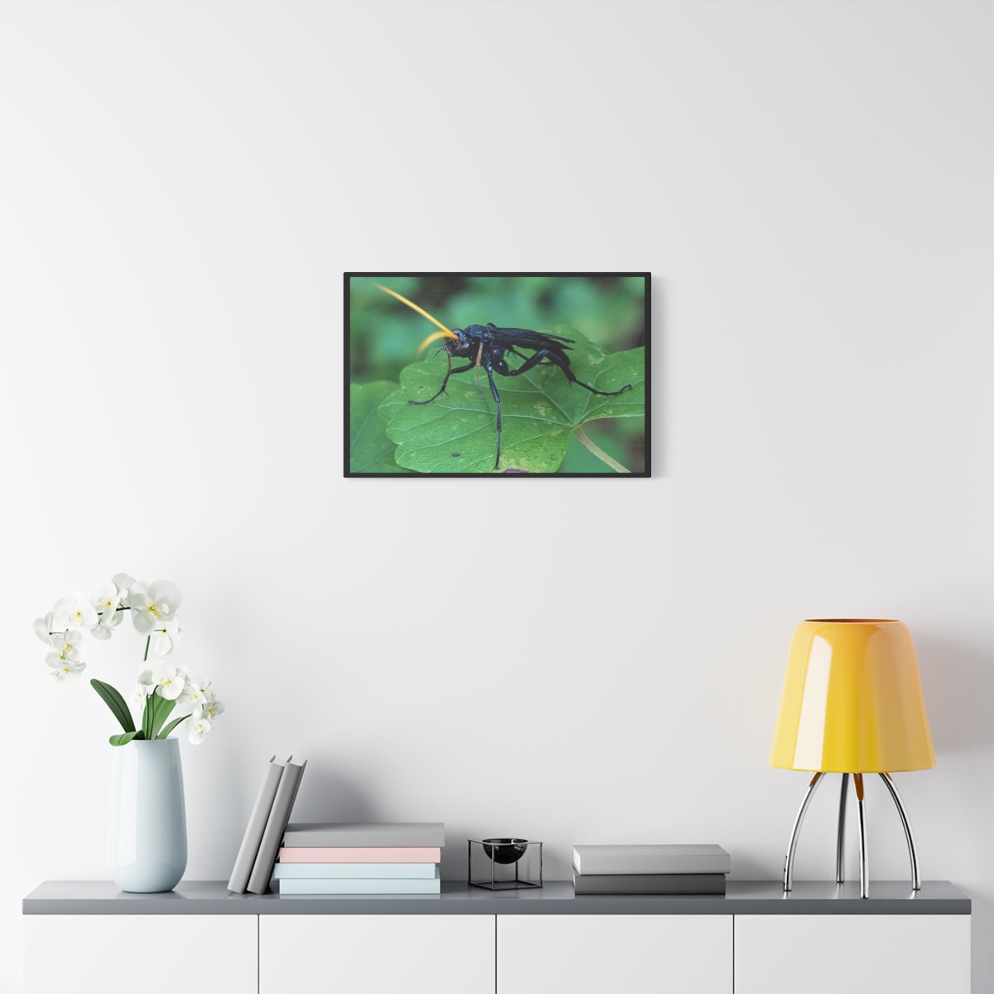 Ichneumon Wasp Photo Canvas