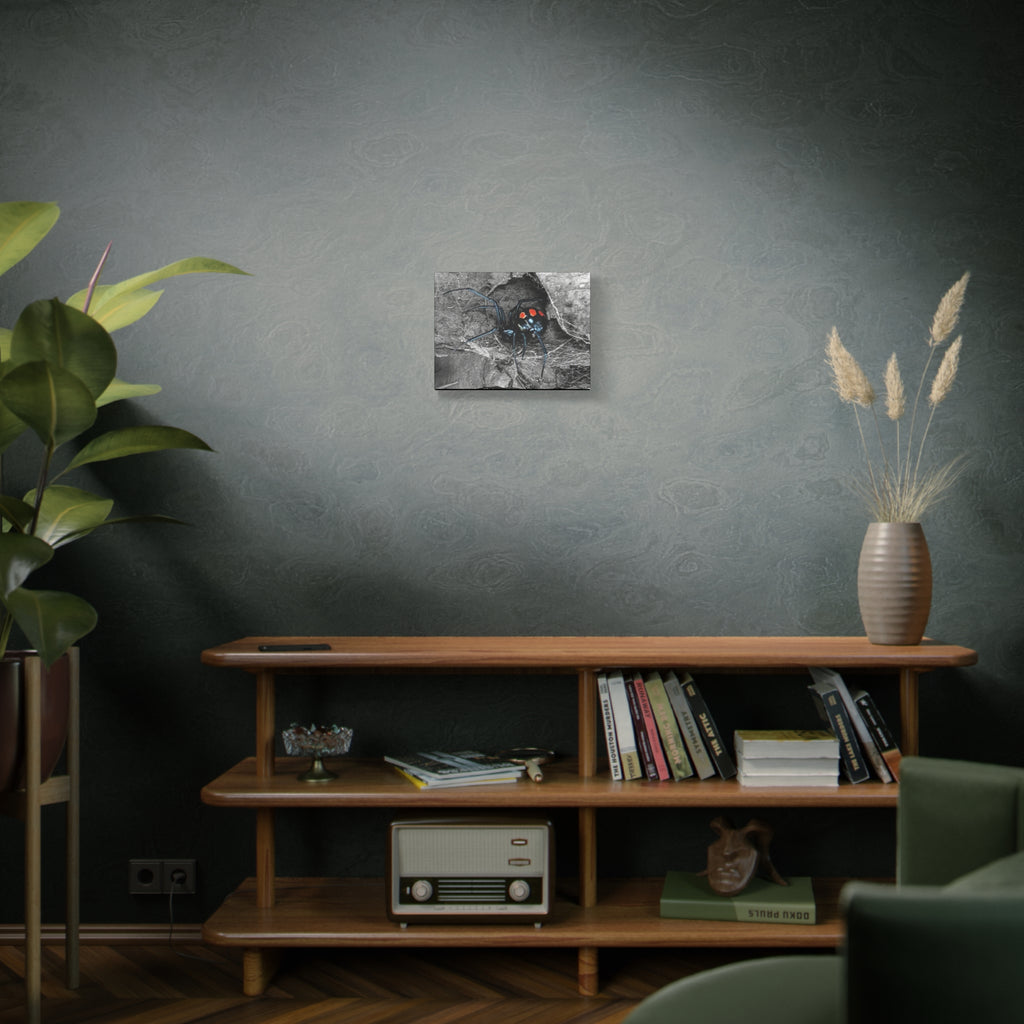 Black Widow Spider Matte Canvas | Stretched Wall Art