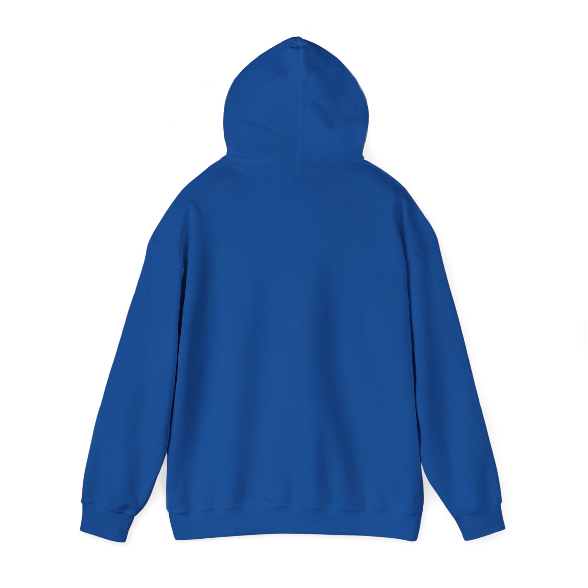 Abstract Fox Stained Glass Hoodie | Colorful Fox with Korean Script