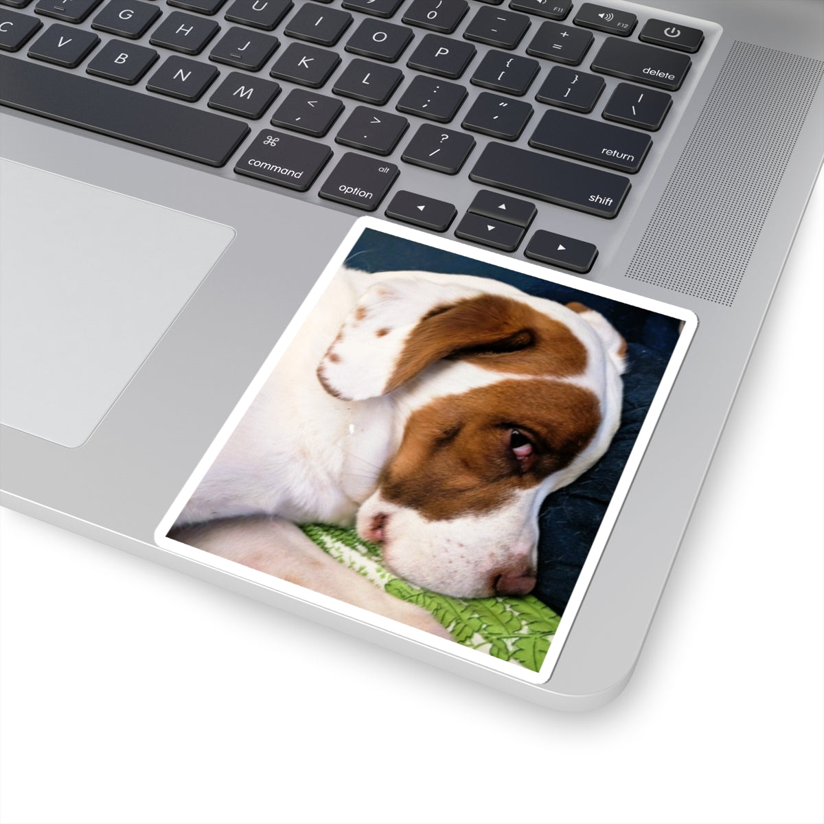 Sleepy Brown and White Dog Sticker | Kiss-Cut Sticker