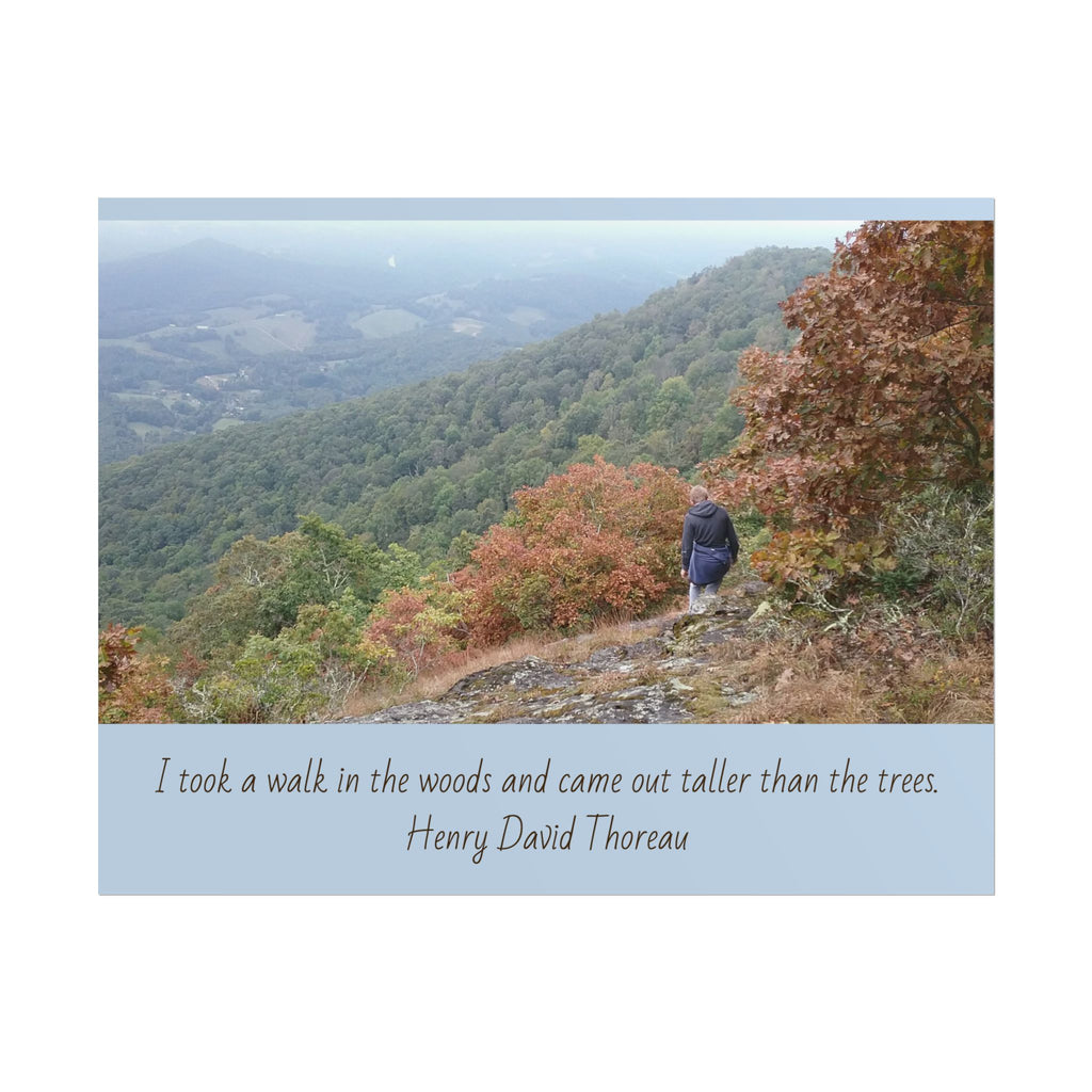 Rolled Poster - Scenic Hiking Photo with Thoreau Quote: "I took a walk in the woods..."