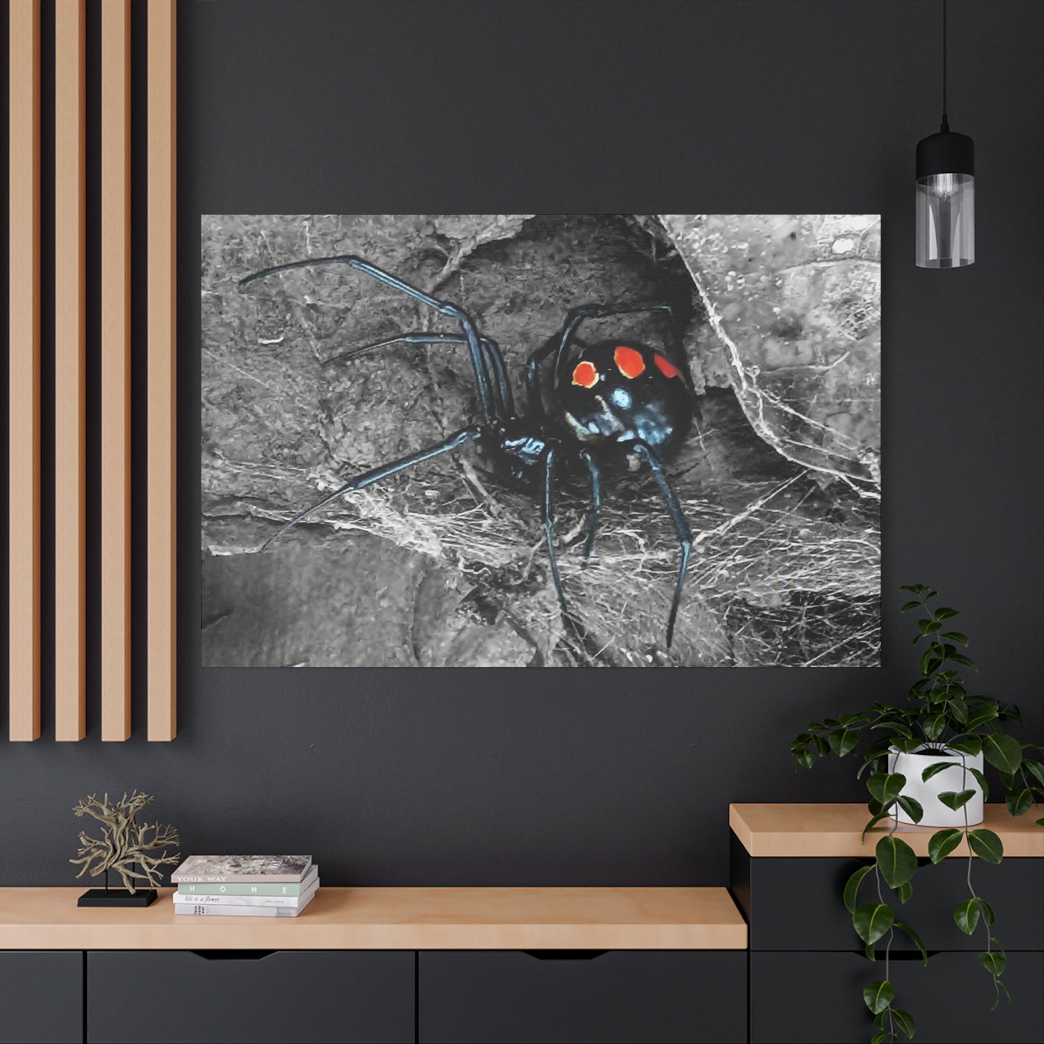 Black Widow Spider Matte Canvas | Stretched Wall Art