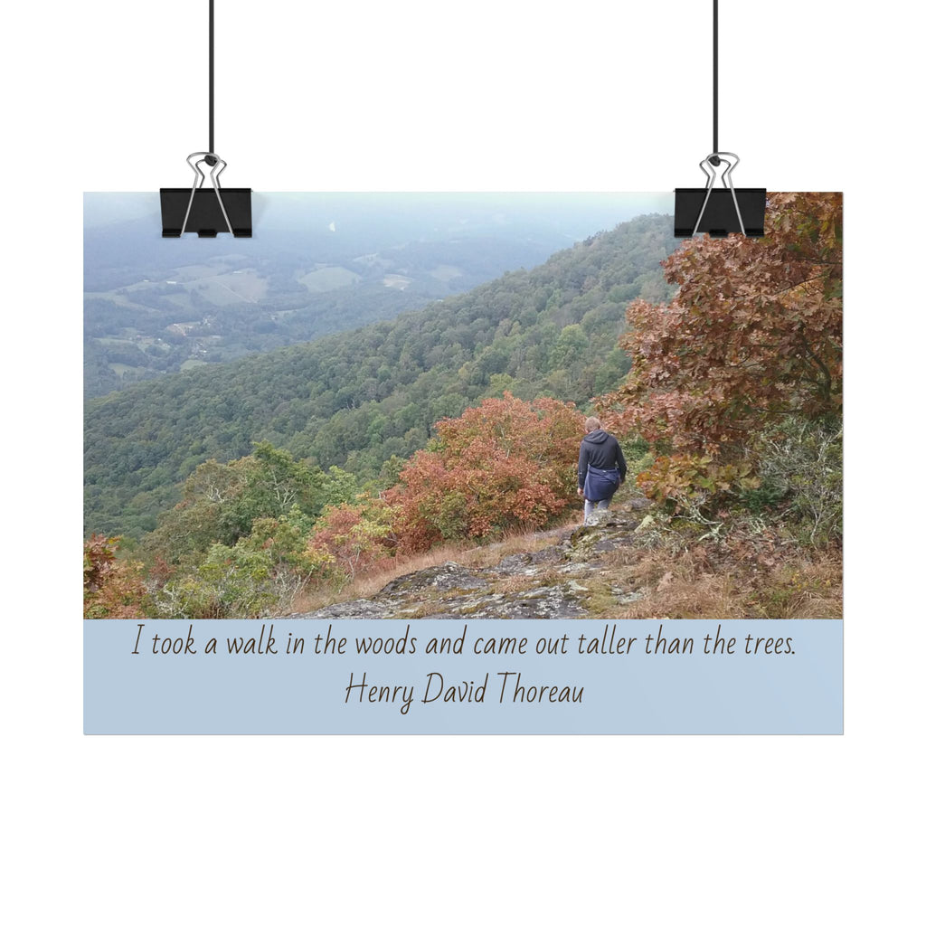 Rolled Poster - Scenic Hiking Photo with Thoreau Quote: "I took a walk in the woods..."