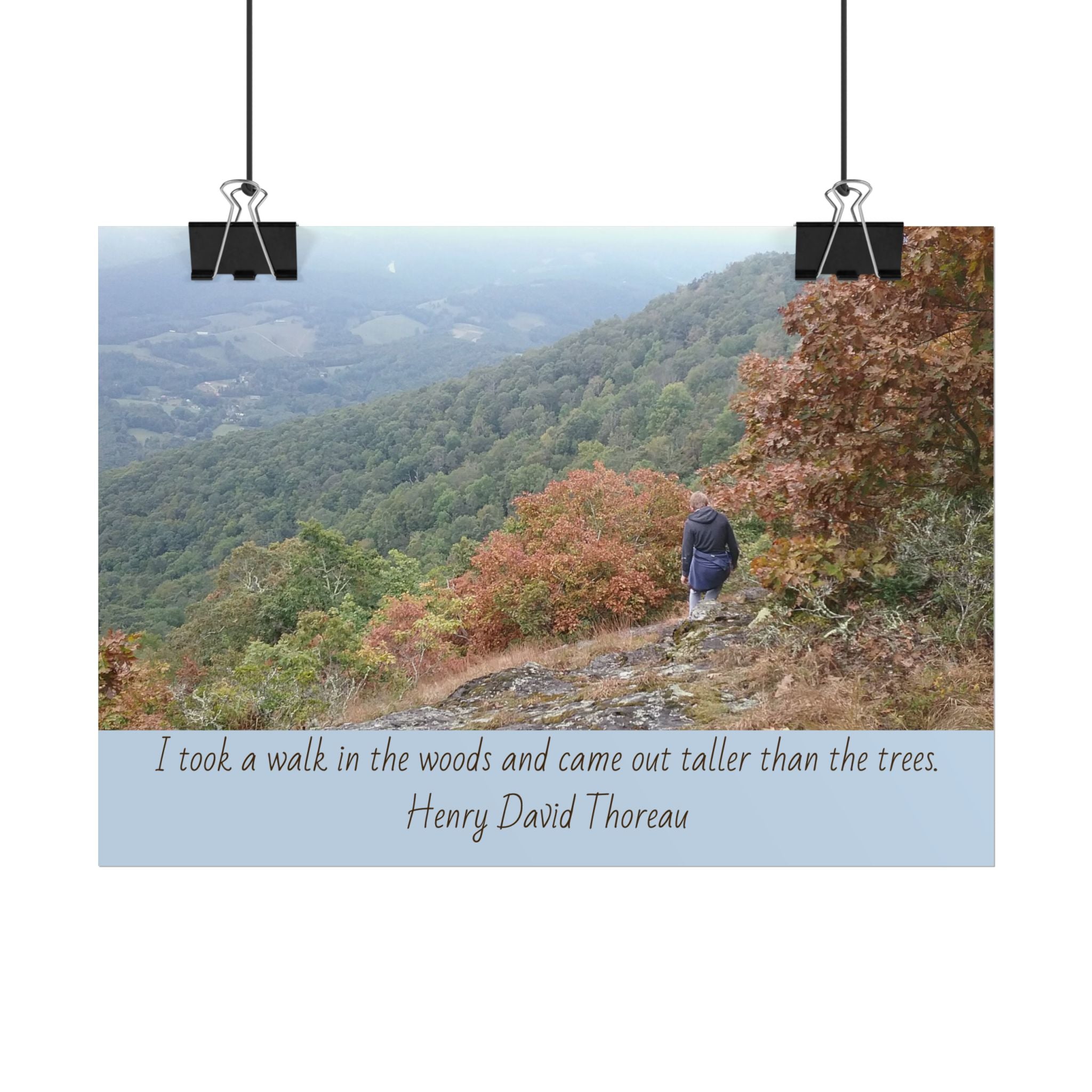 Rolled Poster - Scenic Hiking Photo with Thoreau Quote: "I took a walk in the woods..."